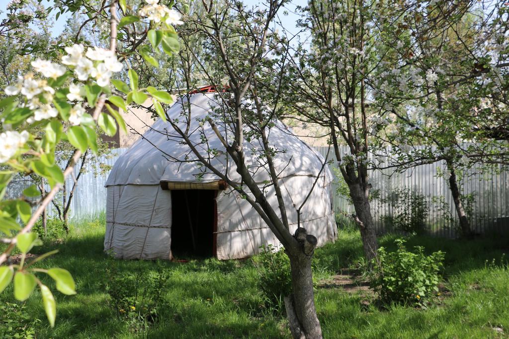 Hostel Nice Karakol Cameră foto